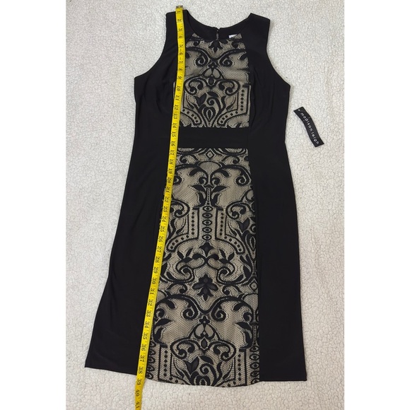 NWT Madison Leigh Black and Cream Lace Midi Dress - Picture 7 of 11